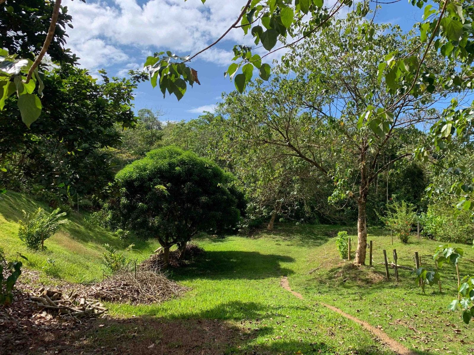 Fabulous 16 Acre Estate With Multiple Building Sites in Uvita, Uvita, Dominical, Bahia Ballena, Osa, Puntarenas, Costa Rica 60504