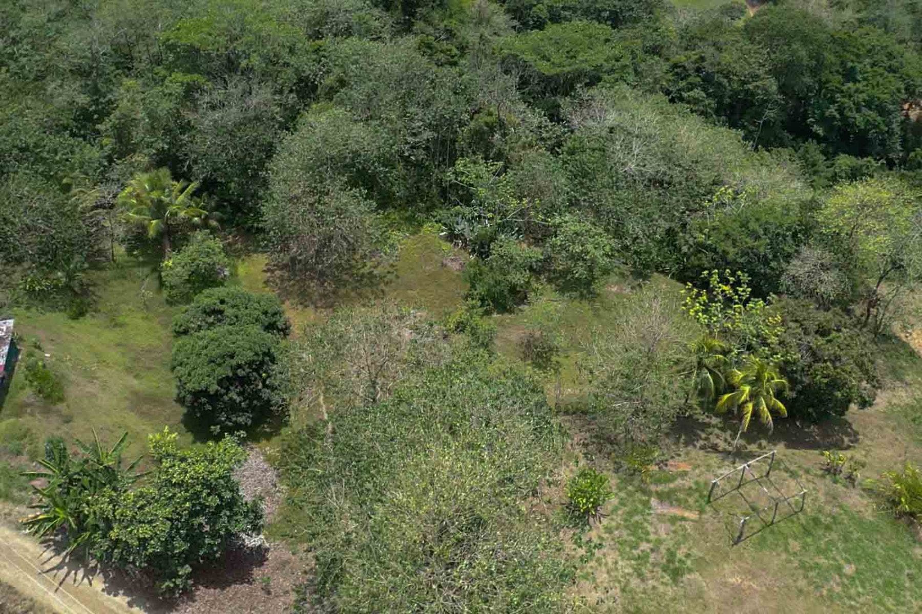 Fabulous 16 Acre Estate With Multiple Building Sites in Uvita — photo 9 of 16