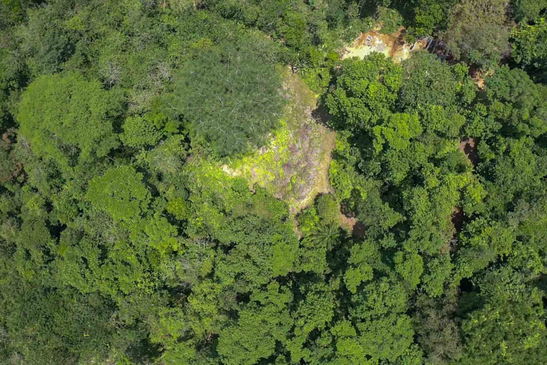 Fabulous 16 Acre Estate With Multiple Building Sites in Uvita — photo 4 of 16