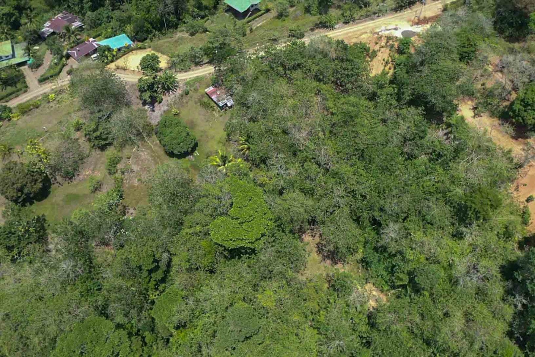 Fabulous 16 Acre Estate With Multiple Building Sites in Uvita — photo 15 of 16