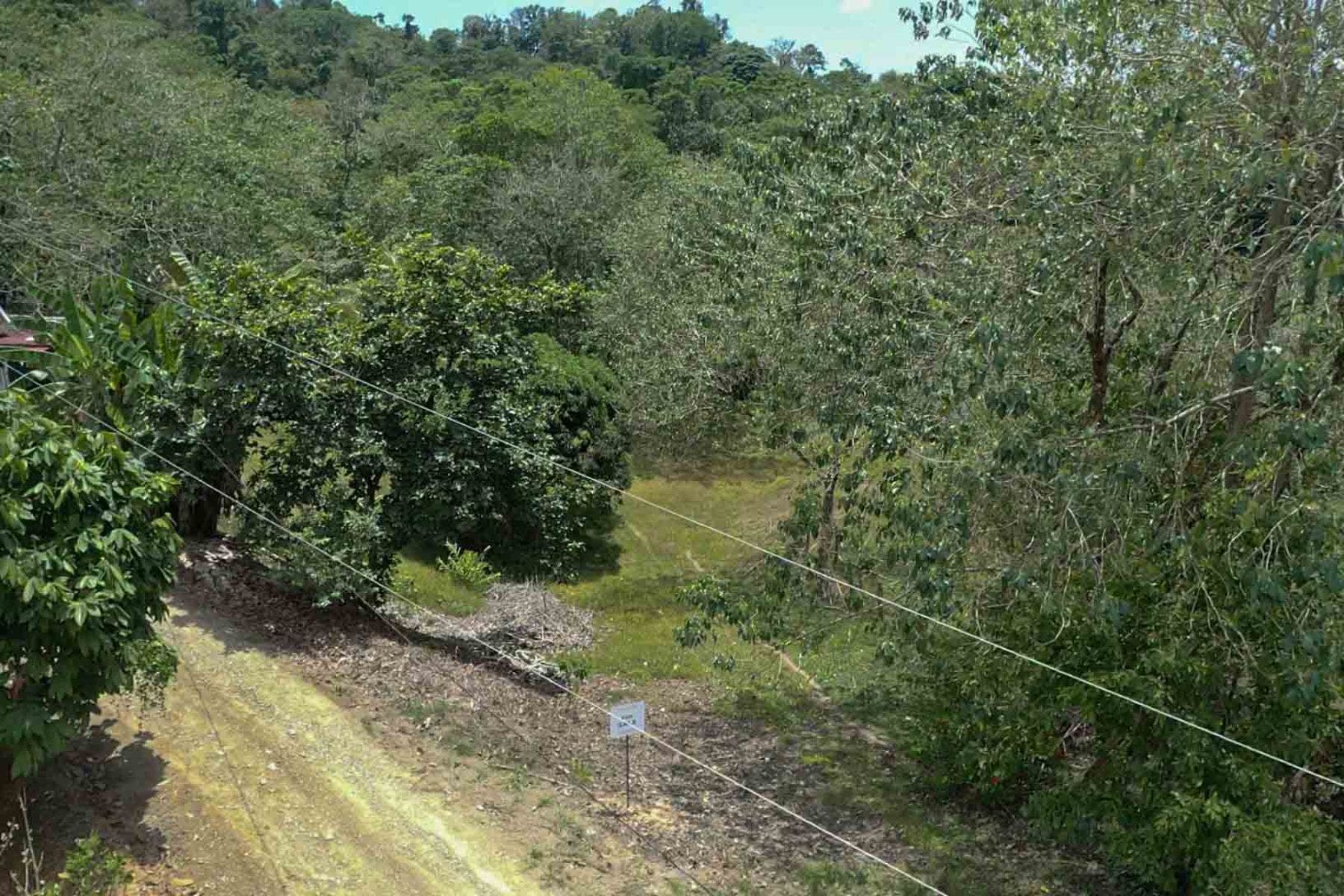 Fabulous 16 Acre Estate With Multiple Building Sites in Uvita — photo 16 of 16
