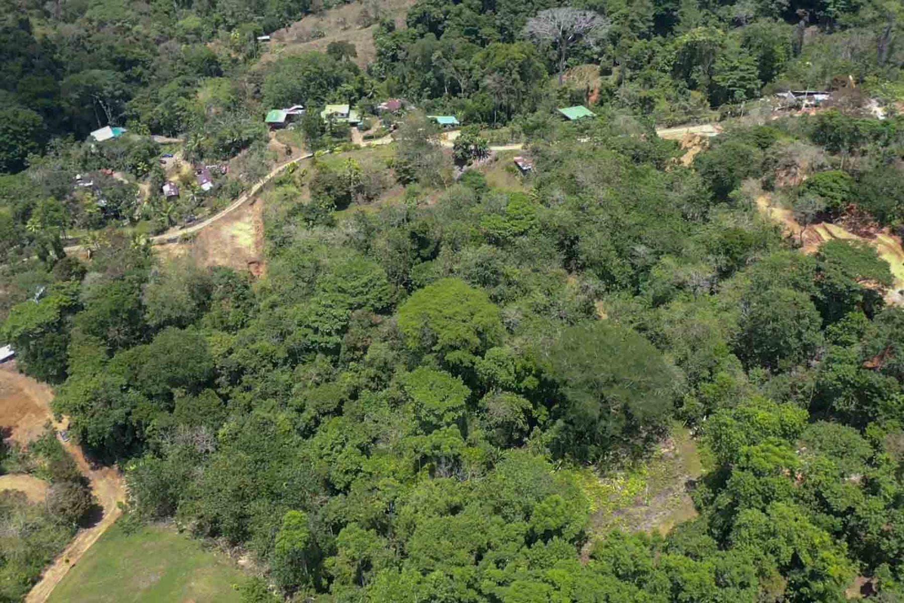 Fabulous 16 Acre Estate With Multiple Building Sites in Uvita — photo 3 of 16