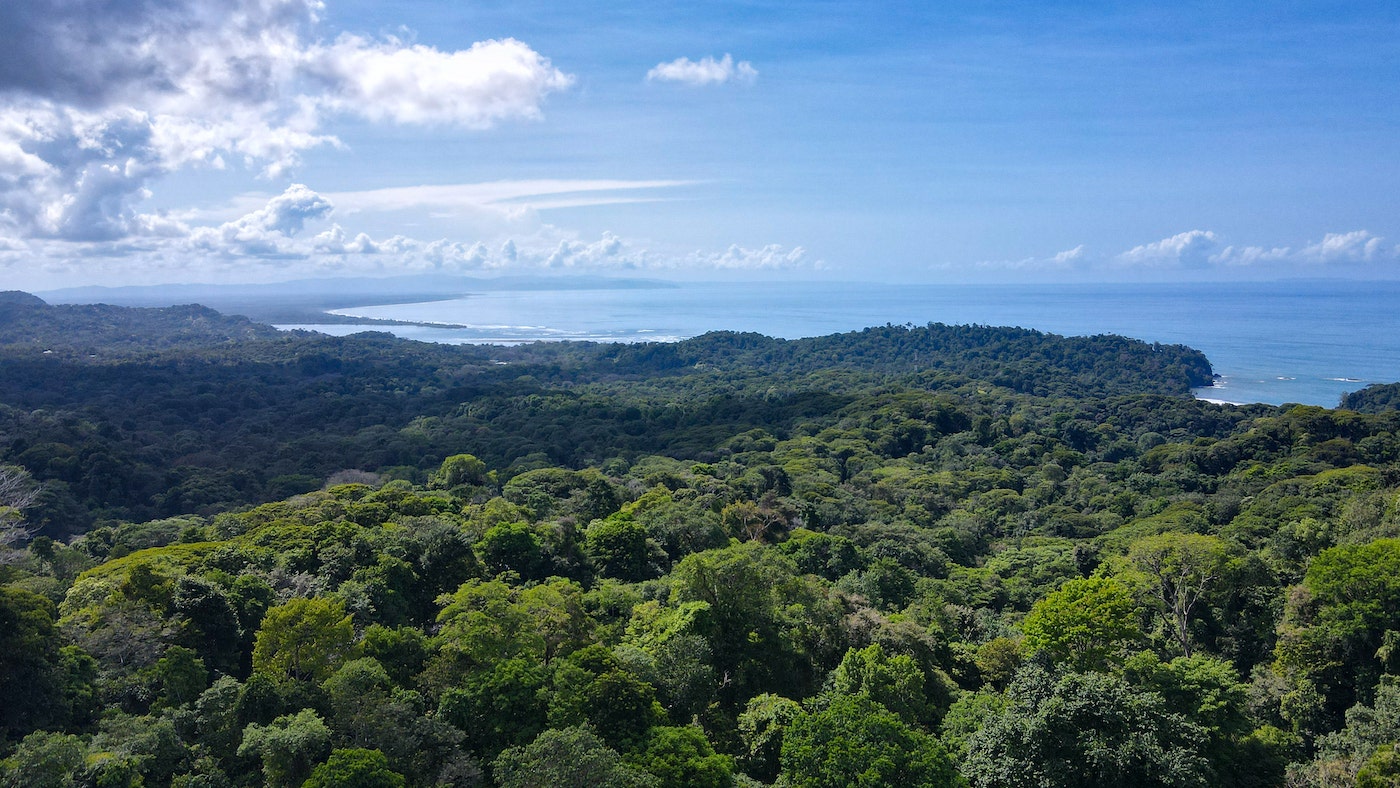 Ocean View Family Home — photo 2 of 18