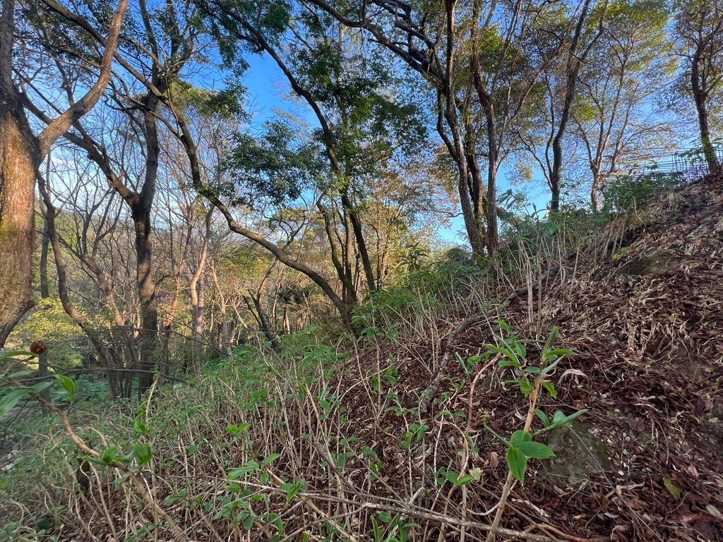 Lot ready to built in gated community 5 minutes to the surf. , #29, Maramar, Santa Teresa, Puntarenas, Costa Rica 60111
