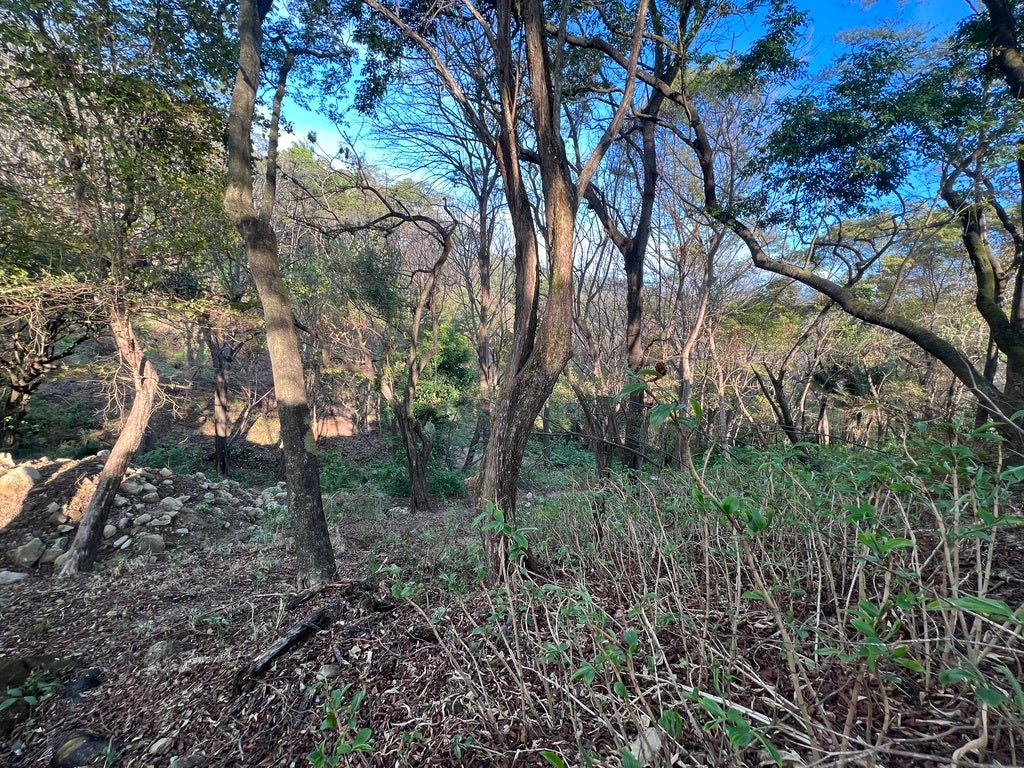 Lot ready to built in gated community 5 minutes to the surf. , #29, Maramar, Santa Teresa, Puntarenas, Costa Rica 60111 — photo 3 of 3