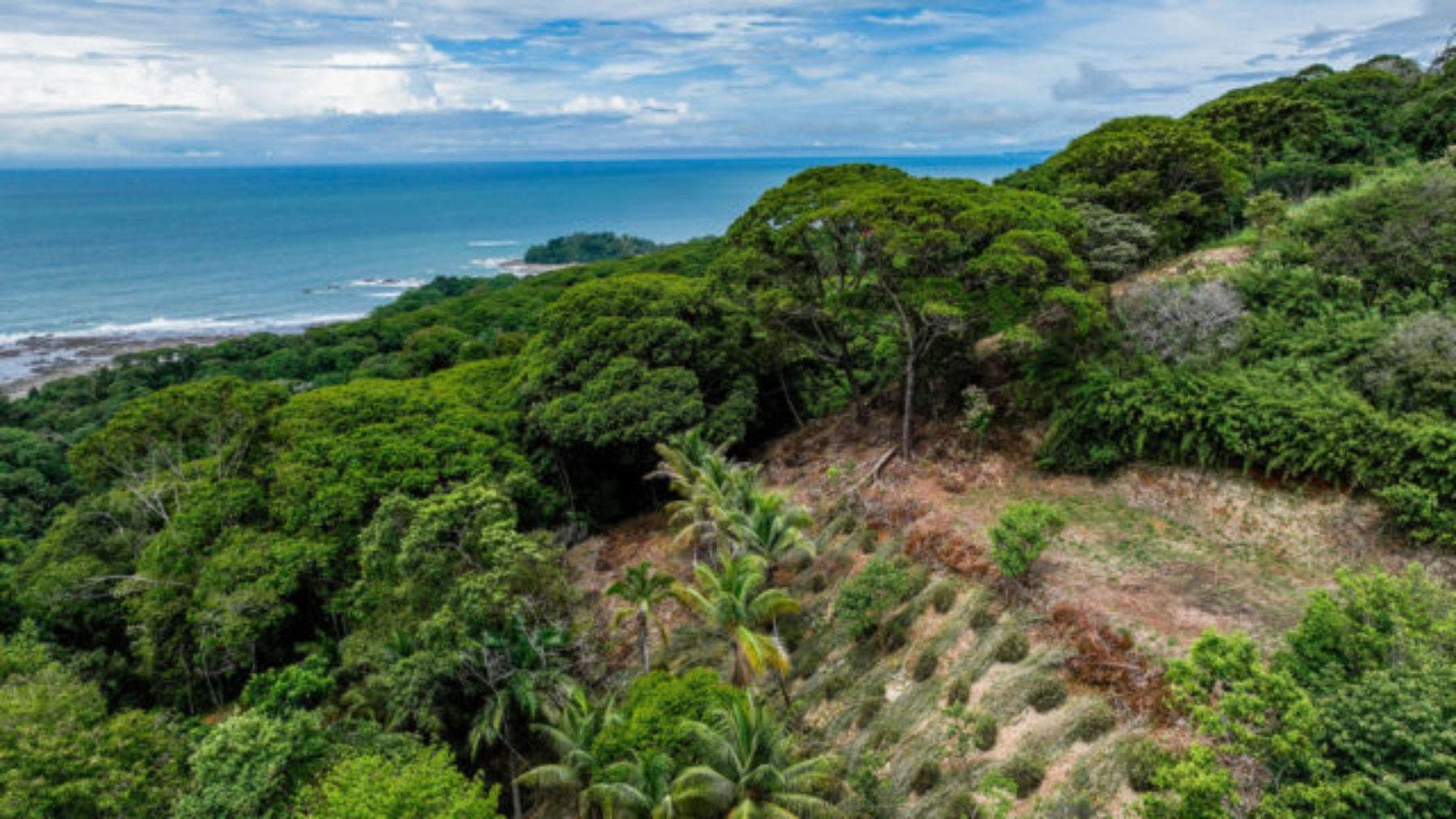 Impressive 8 Acre Parcel With Panoramic Ocean Views, Dominical, Bahia Ballena, Osa, Puntarenas, Costa Rica 60504 — foto 2 de 5