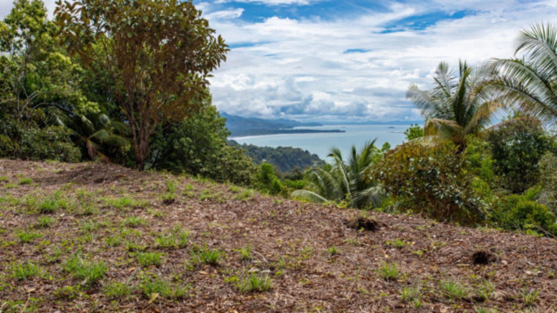 Impressive 8 Acre Parcel With Panoramic Ocean Views — photo 6 of 12