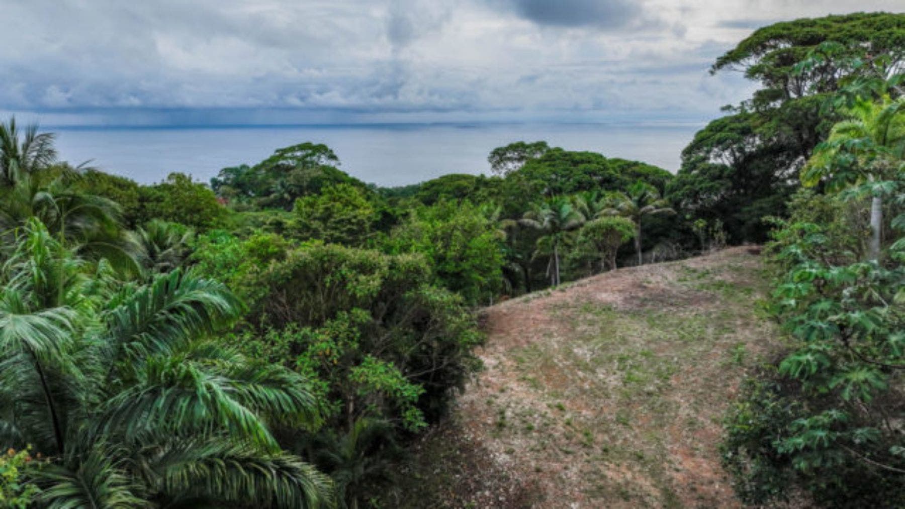 Impressive 8 Acre Parcel With Panoramic Ocean Views — photo 7 of 12