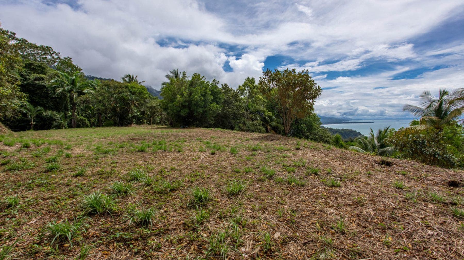 Impressive 8 Acre Parcel With Panoramic Ocean Views — photo 8 of 12