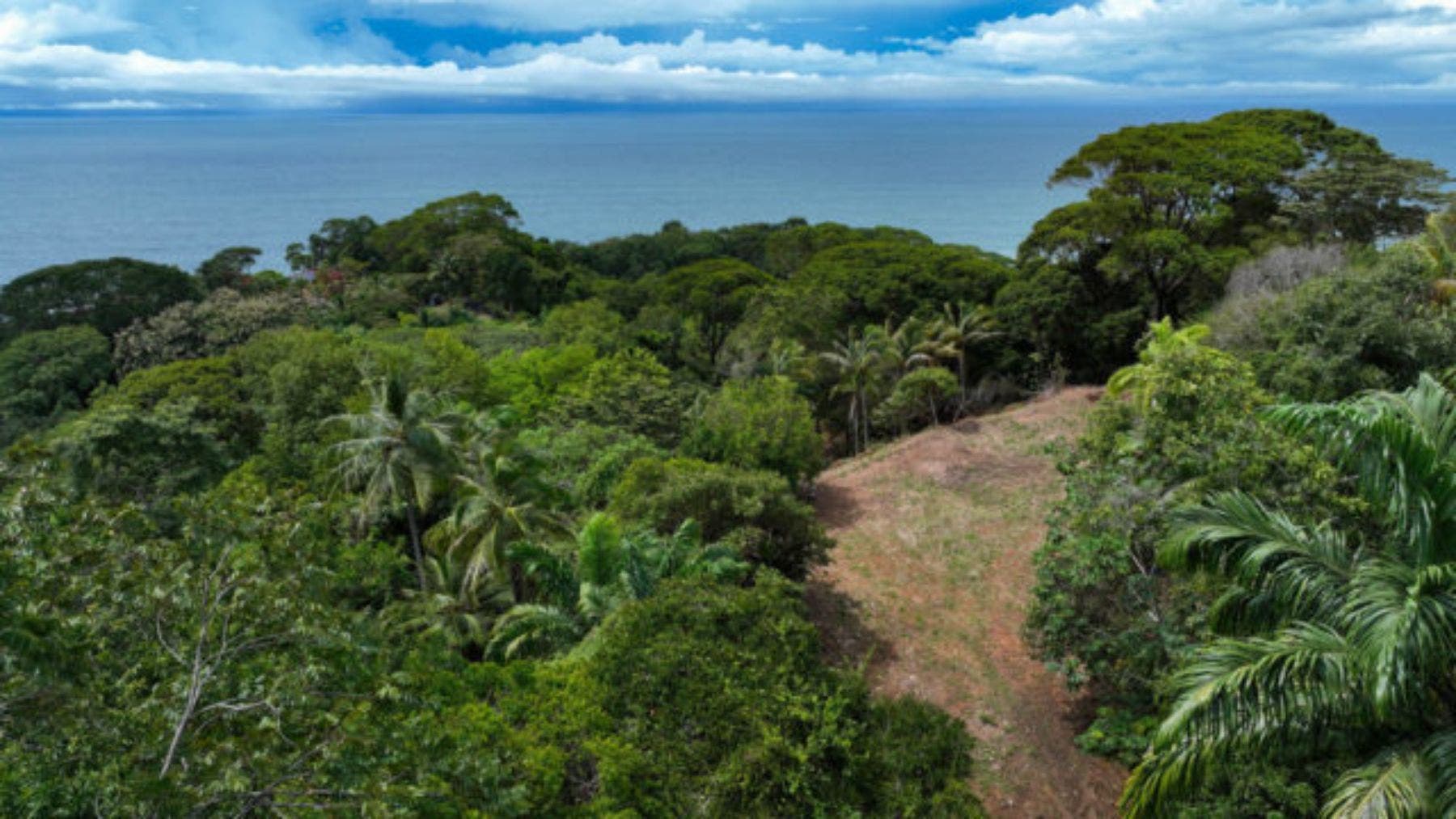 Impressive 8 Acre Parcel With Panoramic Ocean Views — photo 9 of 12