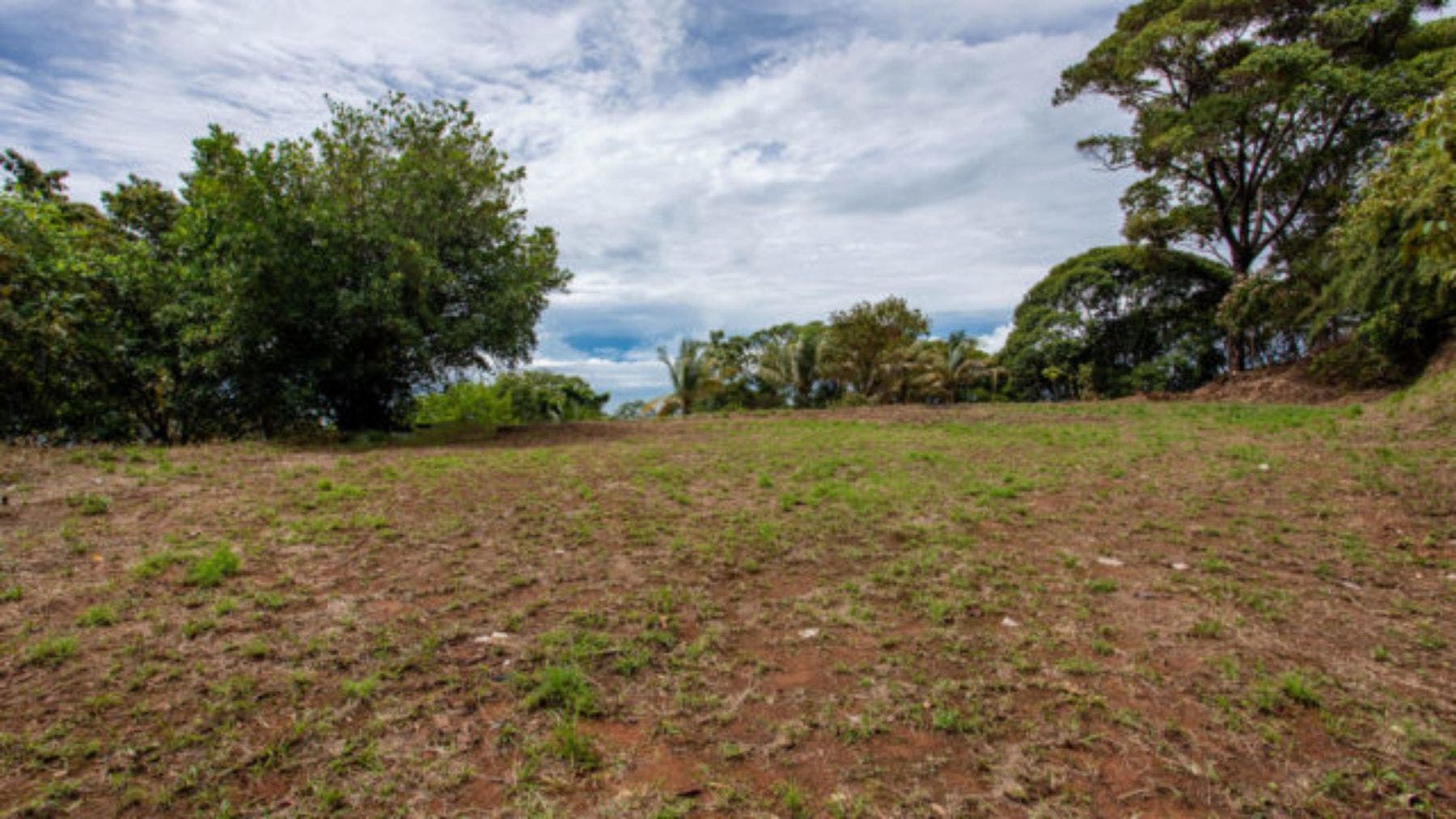 Impressive 8 Acre Parcel With Panoramic Ocean Views — photo 10 of 12