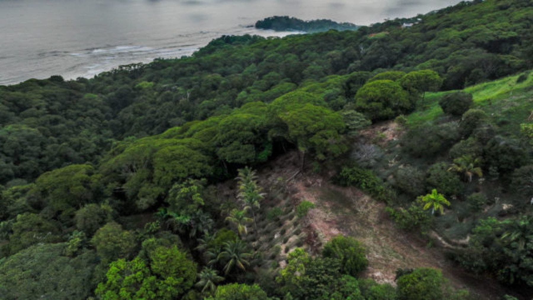 Impressive 8 Acre Parcel With Panoramic Ocean Views — photo 11 of 12