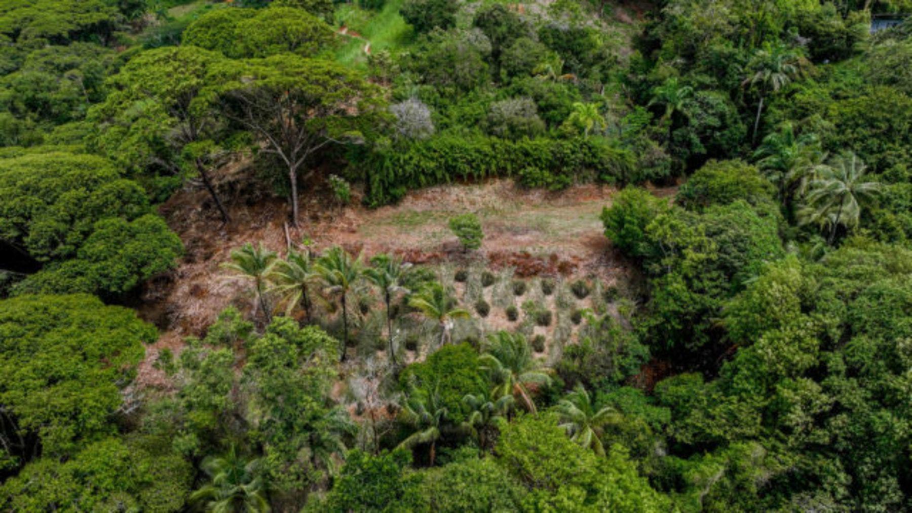Impressive 8 Acre Parcel With Panoramic Ocean Views — photo 12 of 12