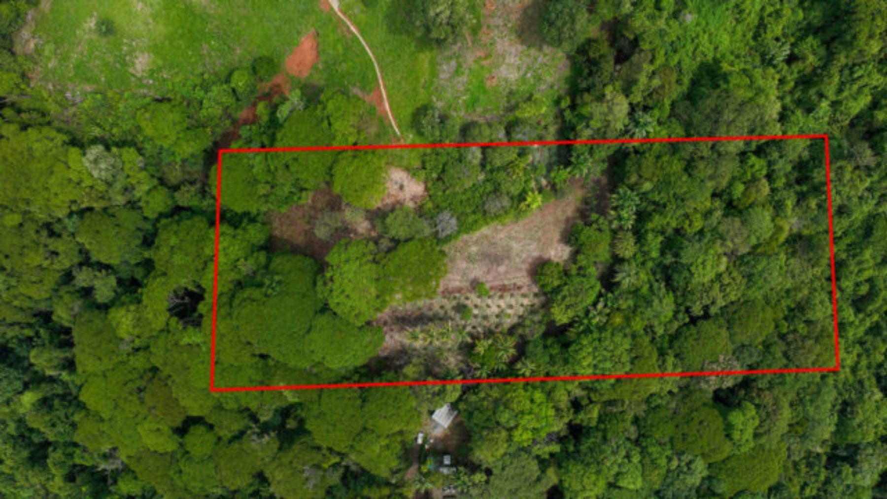 Impressive 8 Acre Parcel With Panoramic Ocean Views, Dominical, Bahia Ballena, Osa, Puntarenas, Costa Rica 60504 — foto 4 de 5