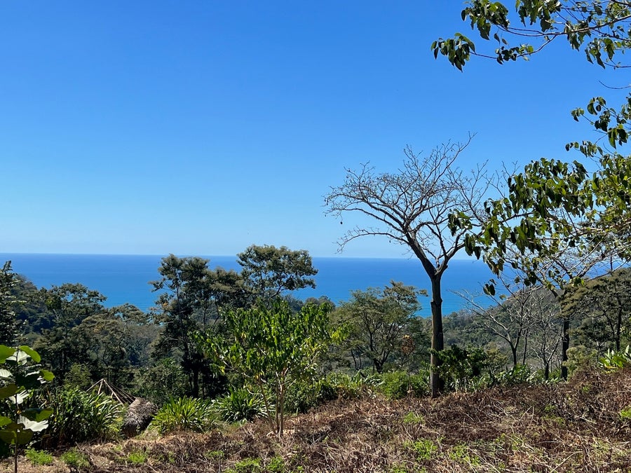 Property photo for Ocean View Lot in Hacienda Okhra, Hacienda Okhra, Santa Teresa, Cobano, Puntarenas, Puntarenas, Costa Rica