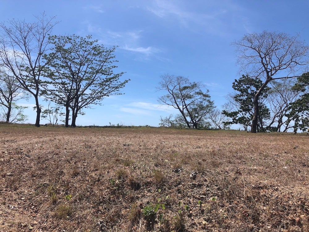 Ocean View Development Property — photo 3 of 14