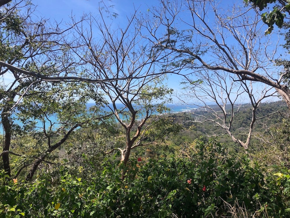 Ocean View Development Property — photo 6 of 14