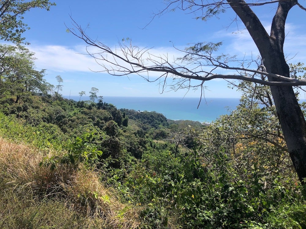 Ocean View Development Property — photo 7 of 14