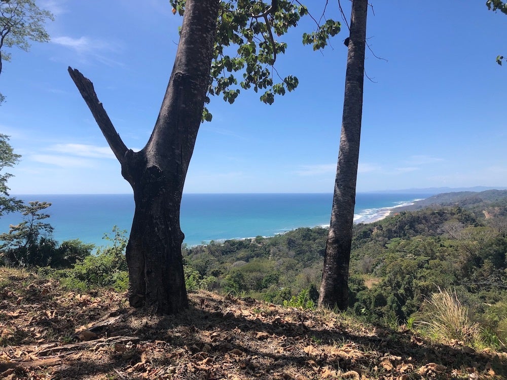 Ocean View Development Property — photo 12 of 14