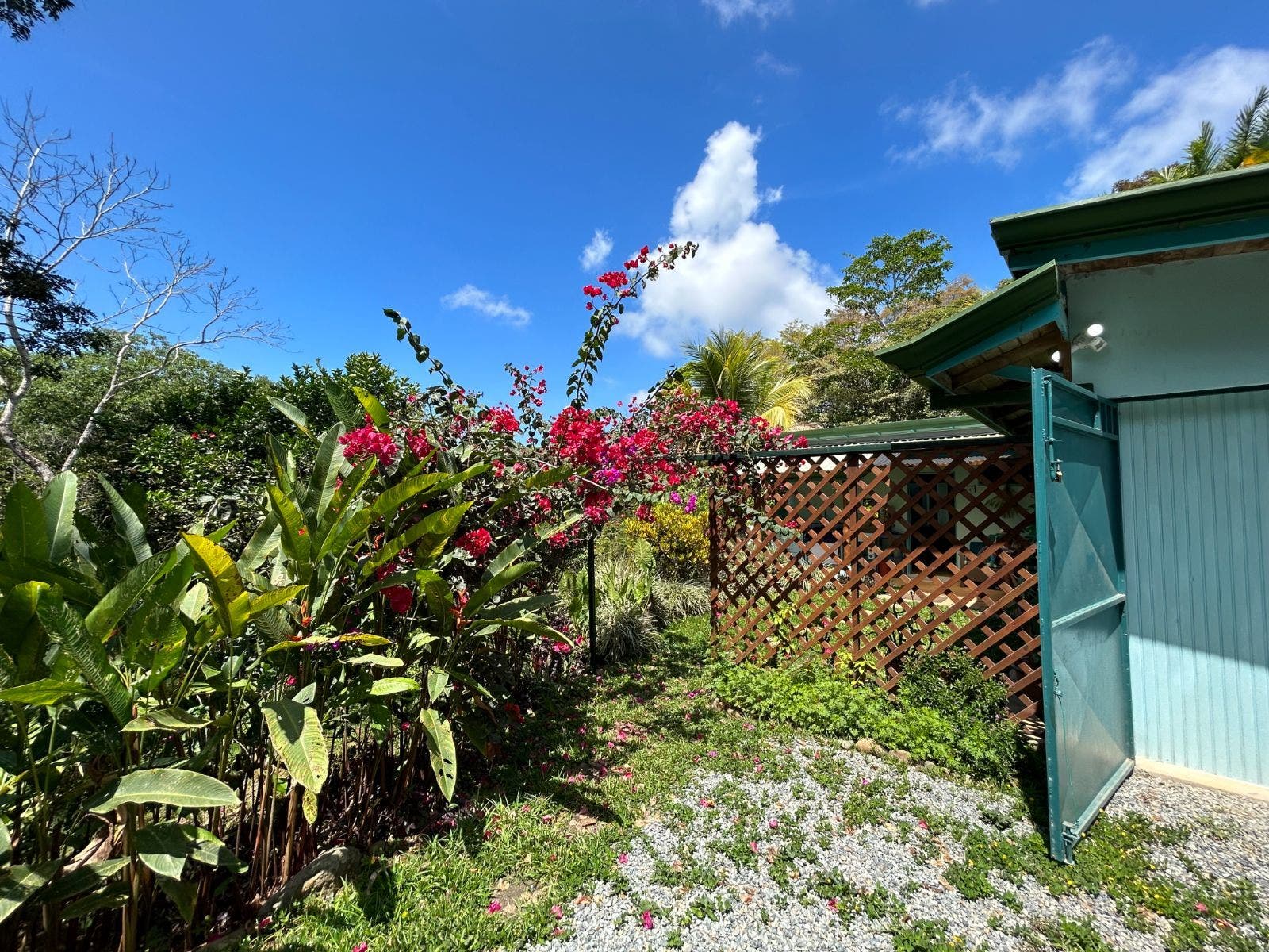 Warm and Welcoming Home La Luna in Platanillo — photo 5 of 19