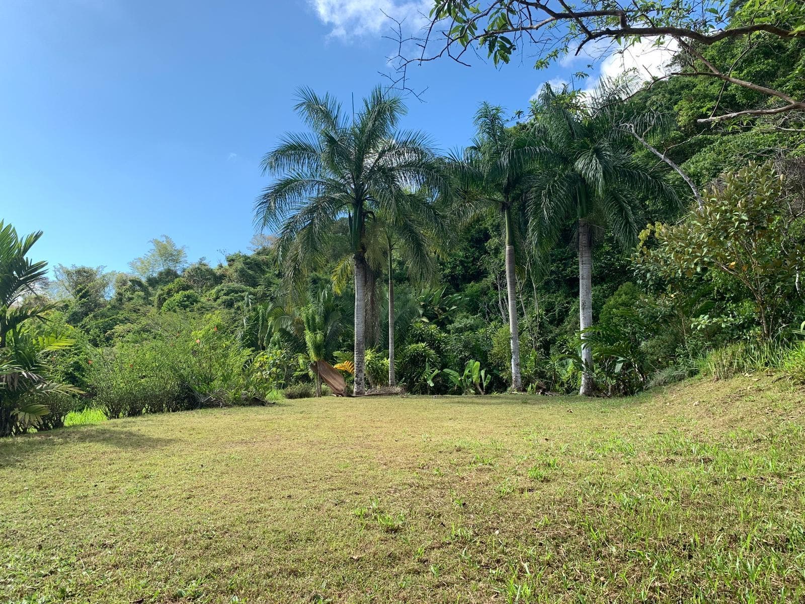 15 Acres of Jungle Paradise in Tinamastes with Multiple Plantels and Waterfalls, Tinamastes, Perez Zeledon, Bahia Ballena, Osa, San Jose, Costa Rica 11909