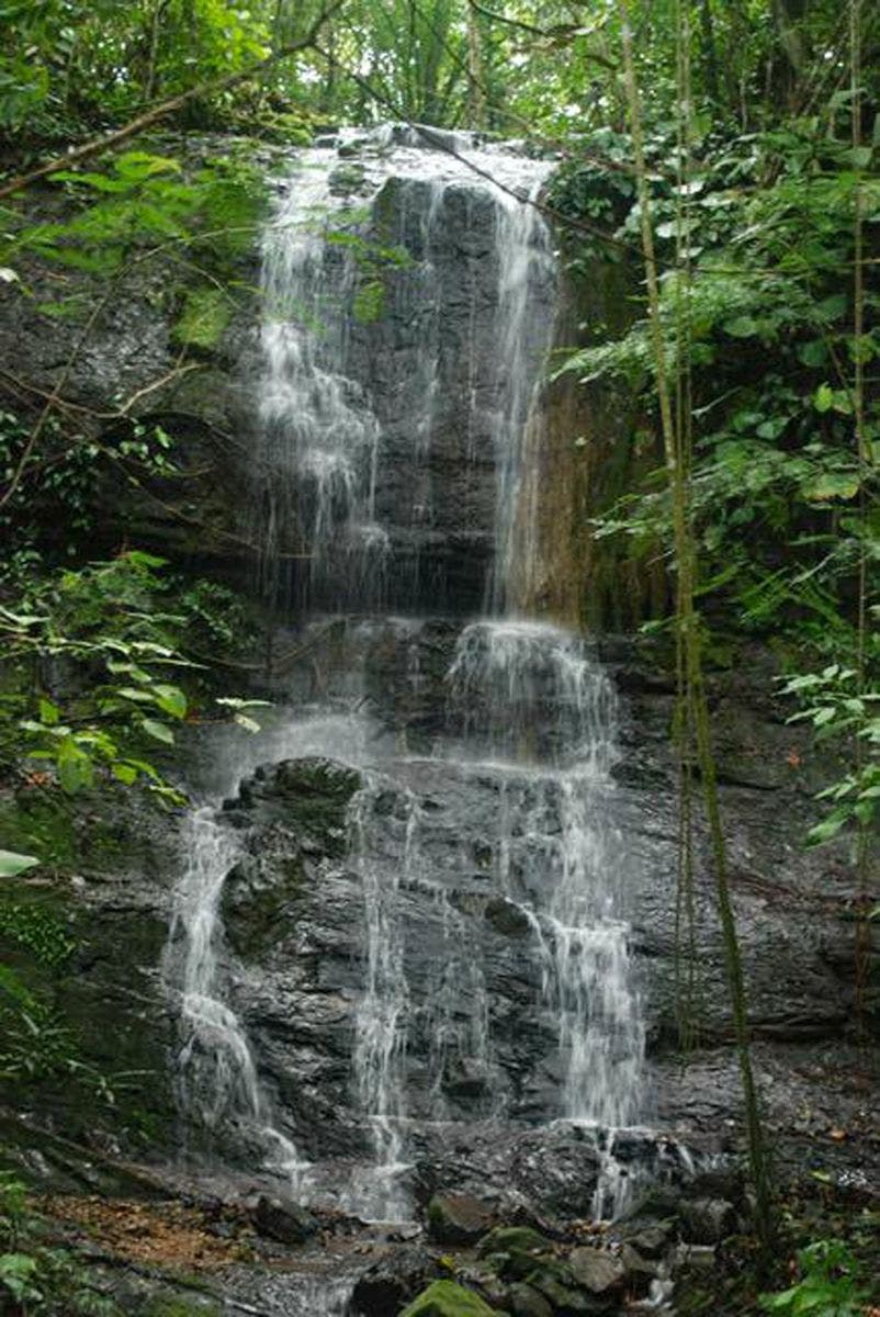 15 Acres of Jungle Paradise in Tinamastes with Multiple Plantels and Waterfalls — photo 2 of 19