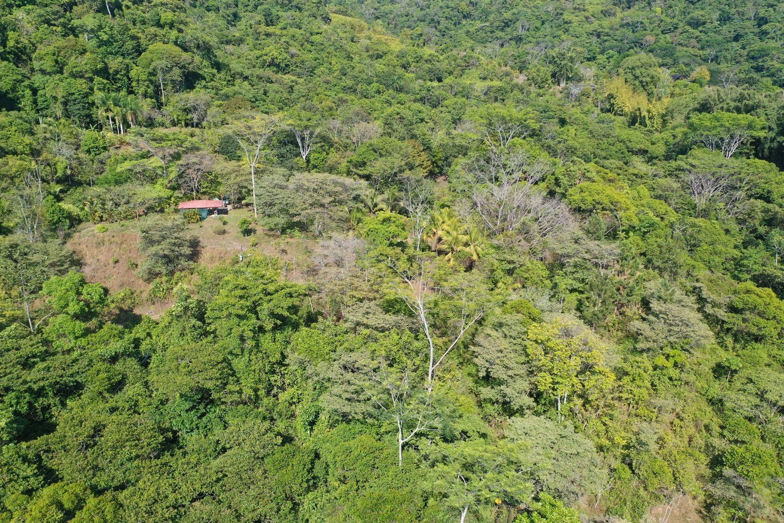 15 Acres of Jungle Paradise in Tinamastes with Multiple Plantels and Waterfalls — photo 4 of 19