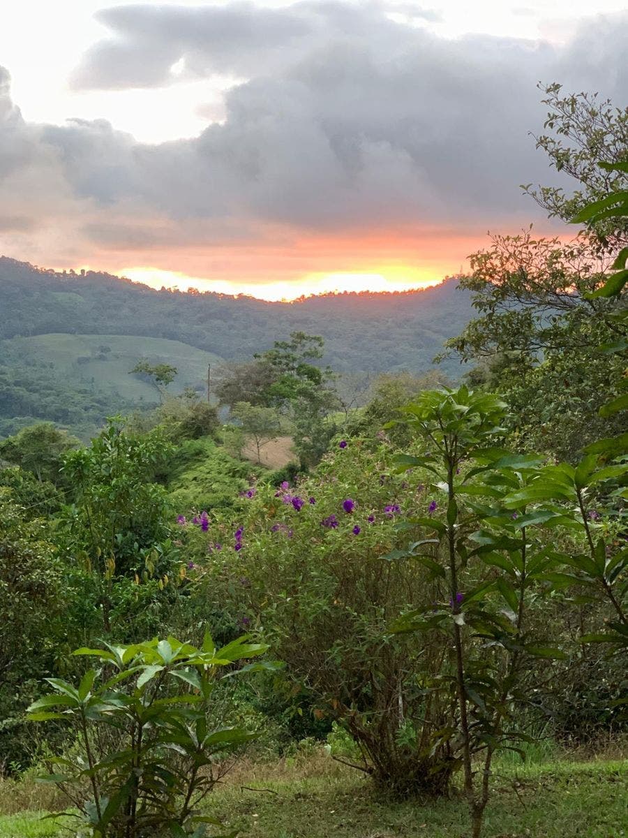 15 Acres of Jungle Paradise in Tinamastes with Multiple Plantels and Waterfalls — photo 6 of 19