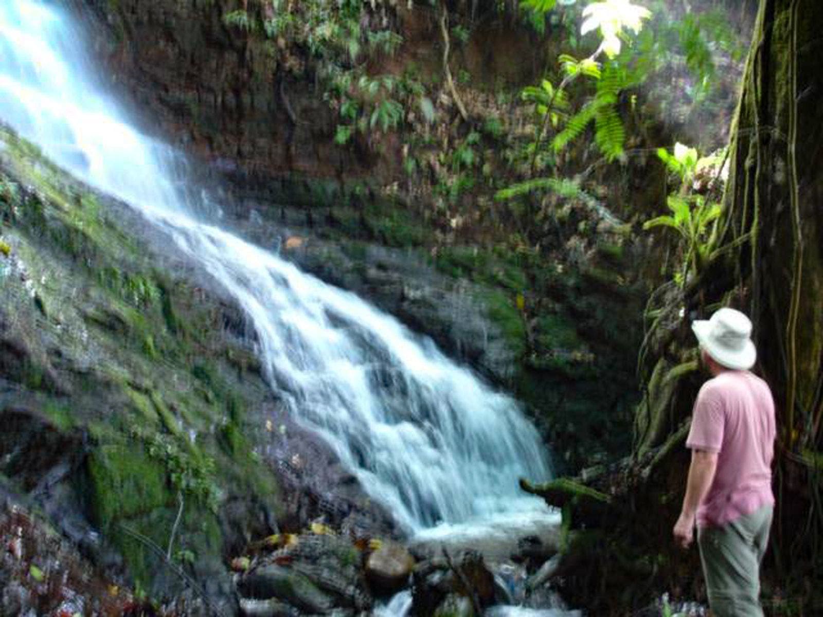 15 Acres of Jungle Paradise in Tinamastes with Multiple Plantels and Waterfalls — photo 10 of 19