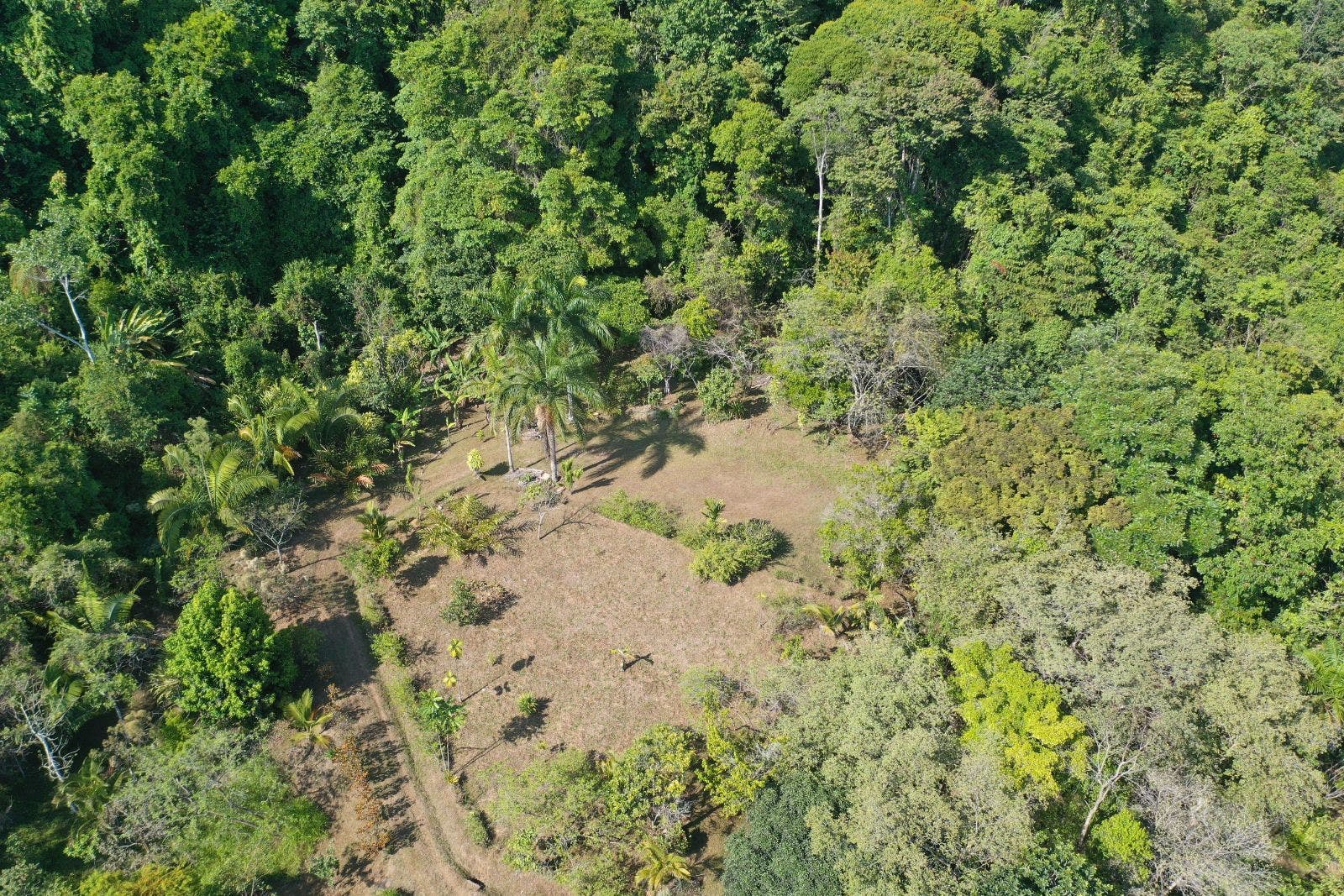 15 Acres of Jungle Paradise in Tinamastes with Multiple Plantels and Waterfalls — photo 11 of 19