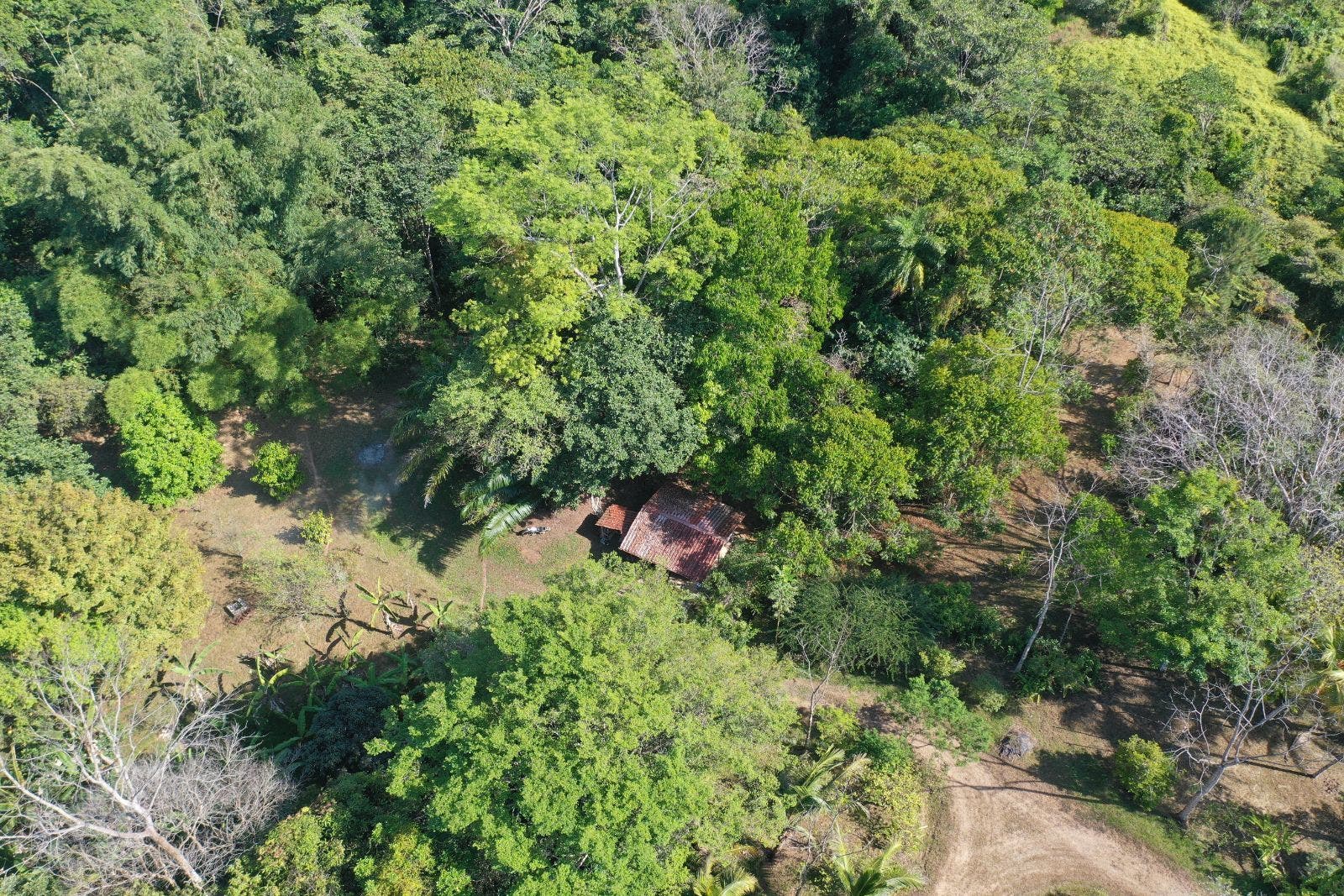 15 Acres of Jungle Paradise in Tinamastes with Multiple Plantels and Waterfalls — photo 12 of 19