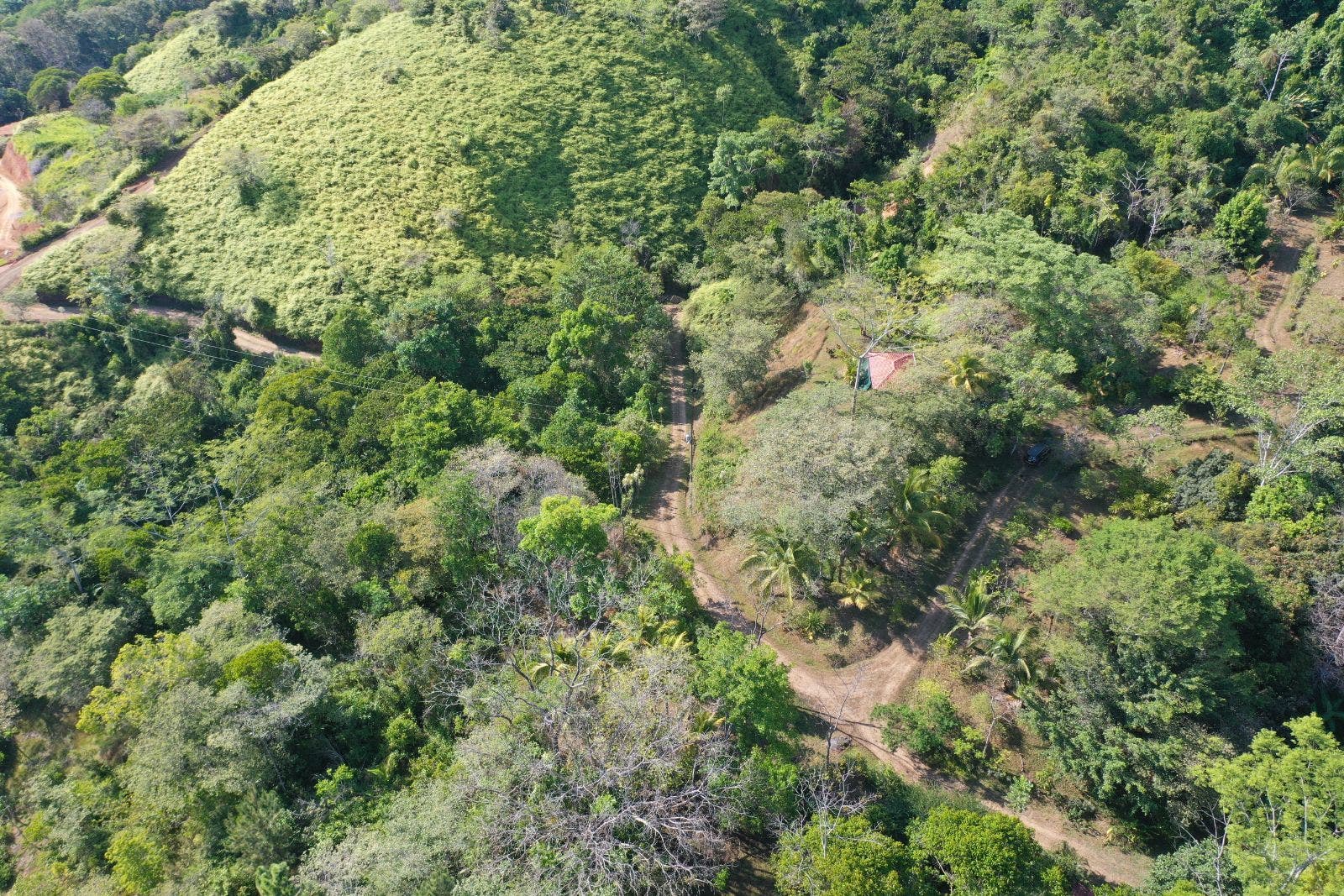 15 Acres of Jungle Paradise in Tinamastes with Multiple Plantels and Waterfalls — photo 13 of 19