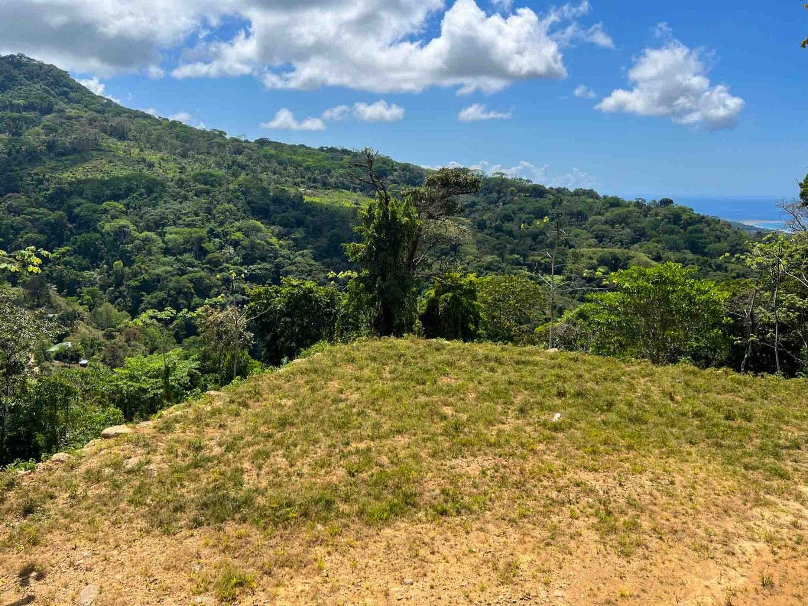 Incredible Whales Tail Lot in San Josecito — photo 5 of 15