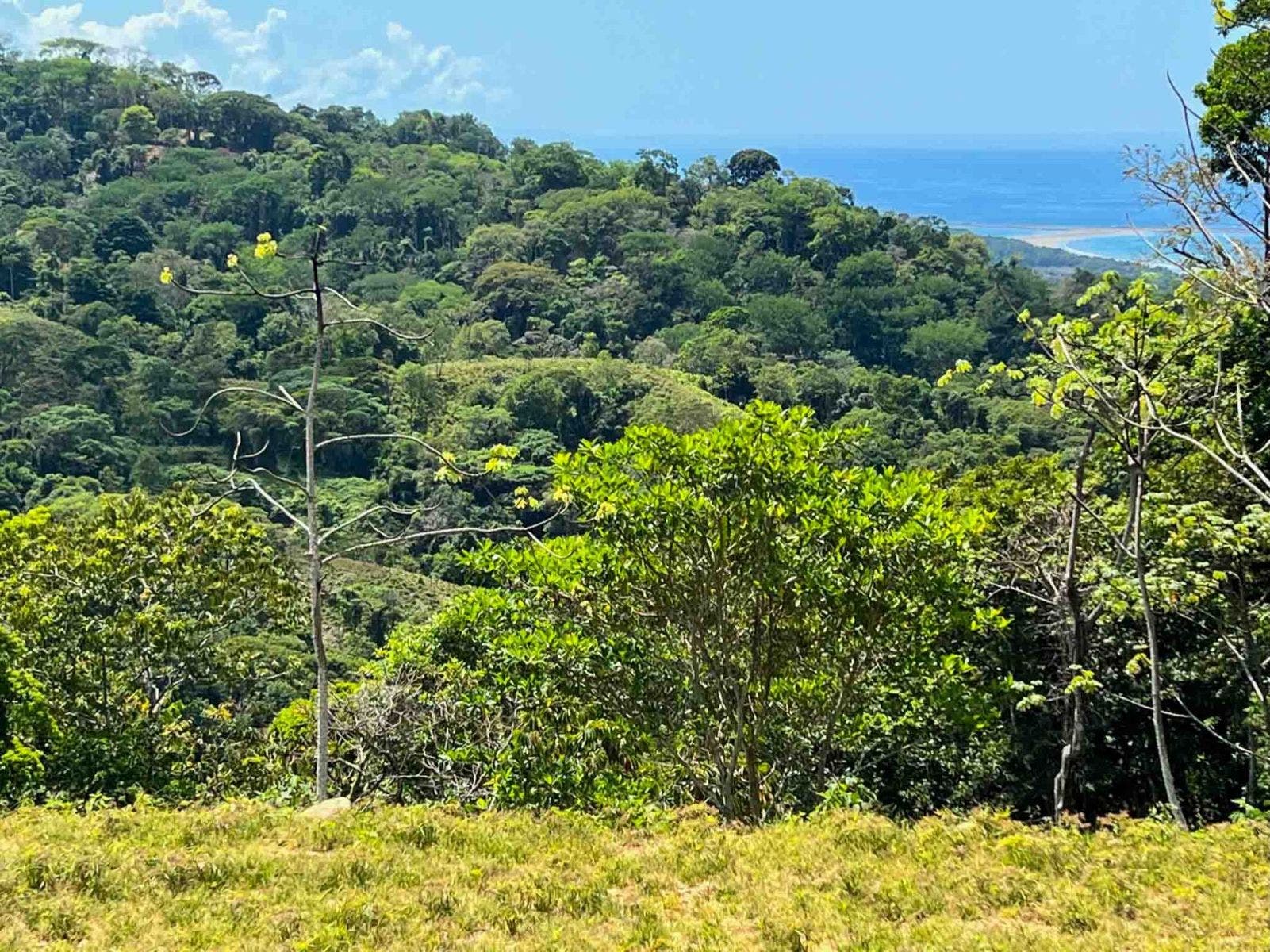 Incredible Whales Tail Lot in San Josecito — photo 6 of 15