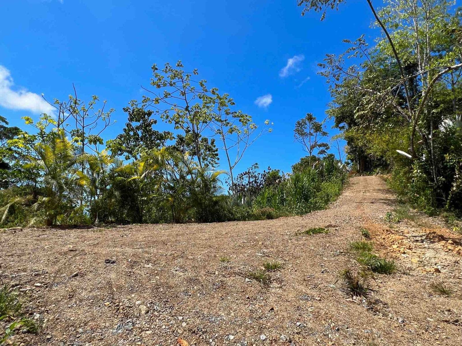 Incredible Whales Tail Lot in San Josecito — photo 3 of 15