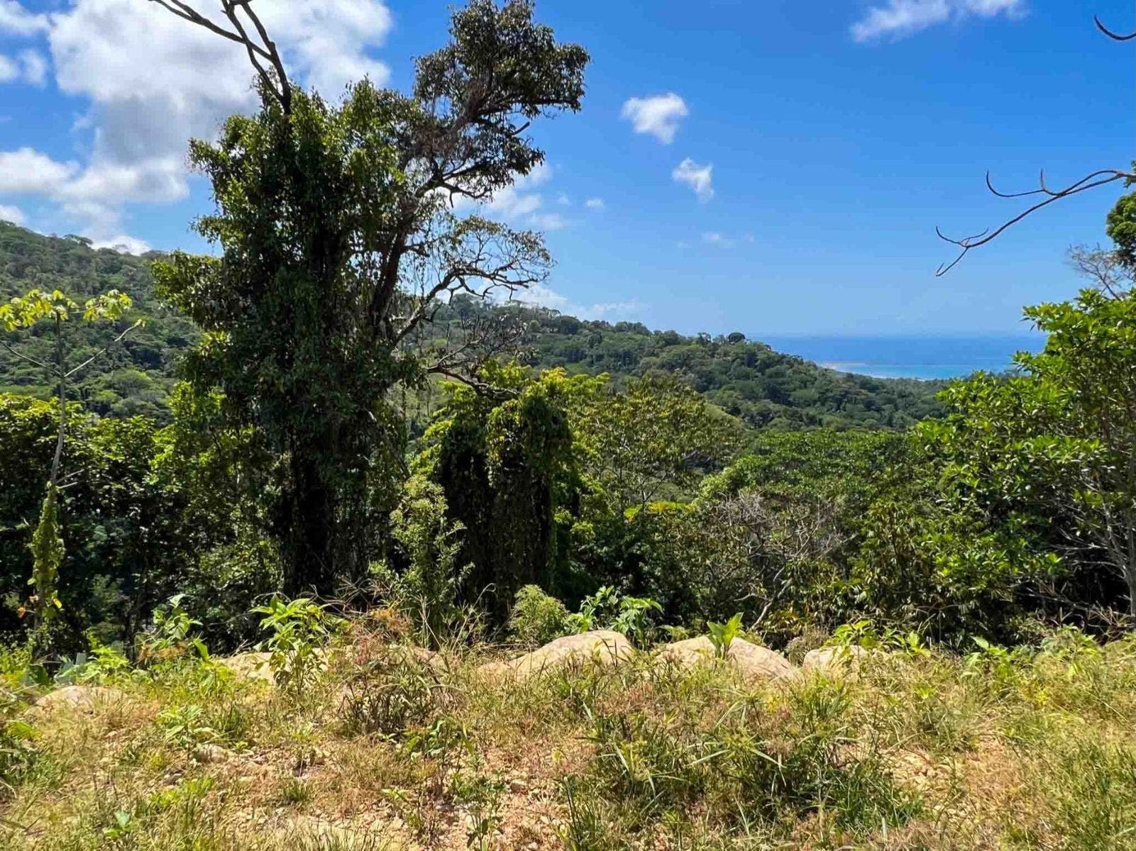 Incredible Whales Tail Lot in San Josecito — photo 7 of 15