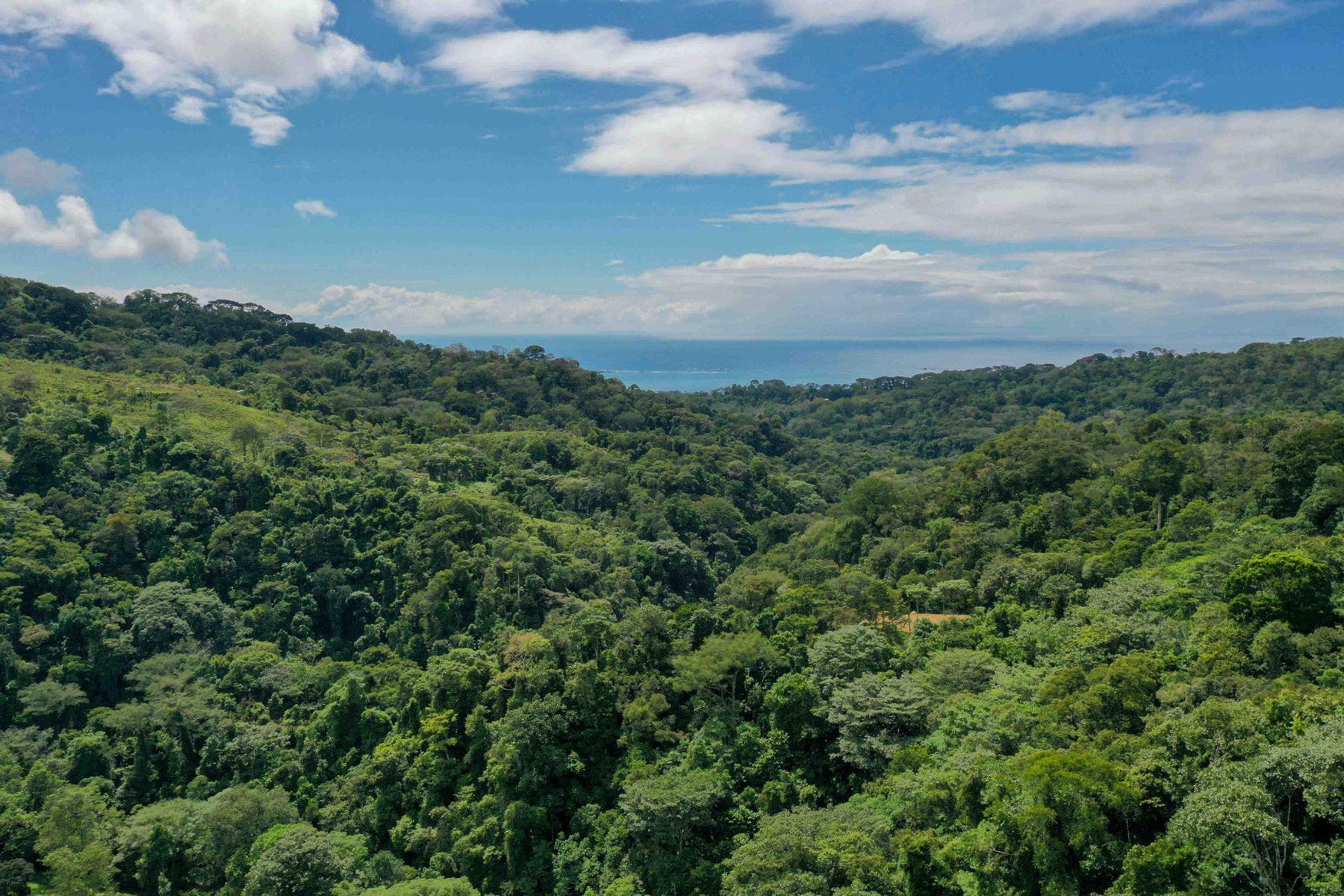 Incredible Whales Tail Lot in San Josecito — photo 2 of 15