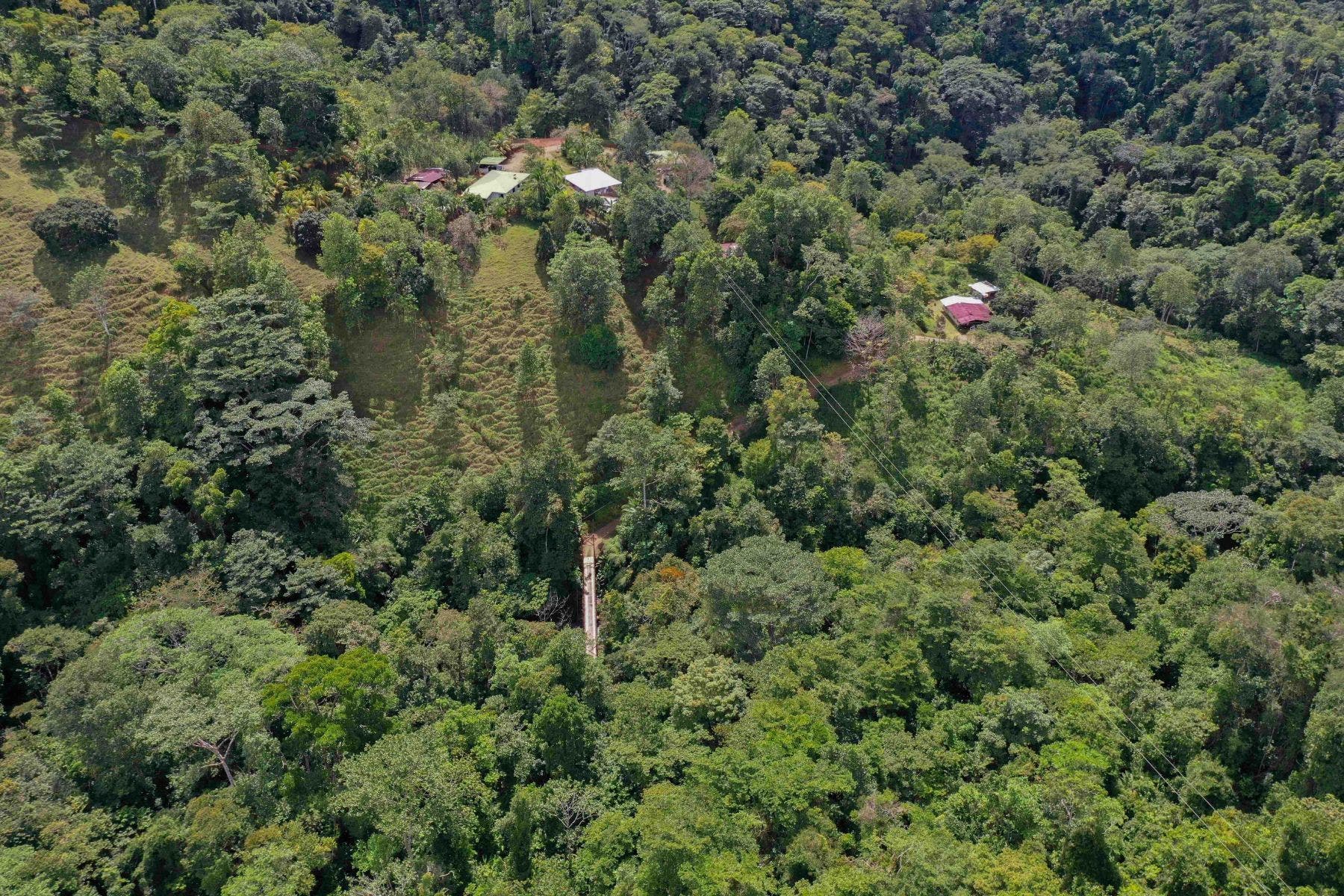 Incredible Whales Tail Lot in San Josecito — photo 8 of 15
