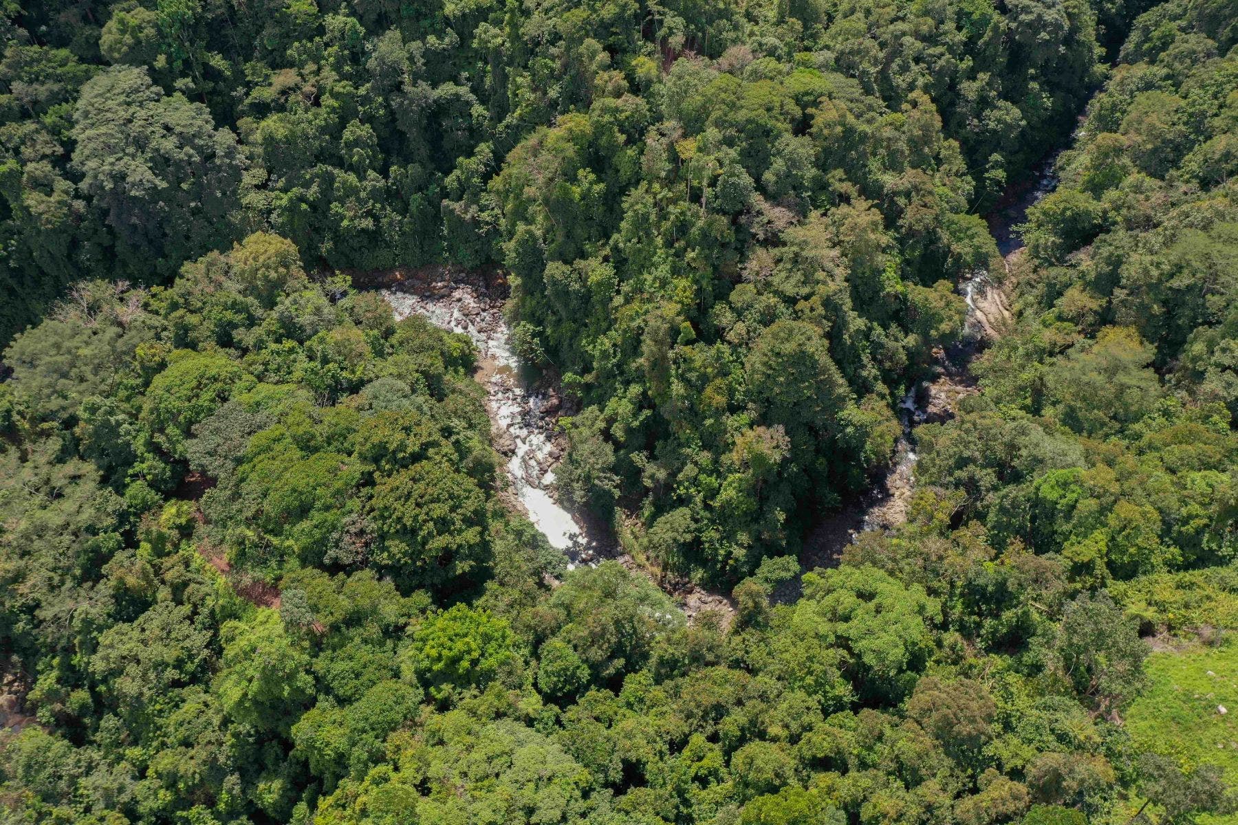 Incredible Whales Tail Lot in San Josecito — photo 9 of 15