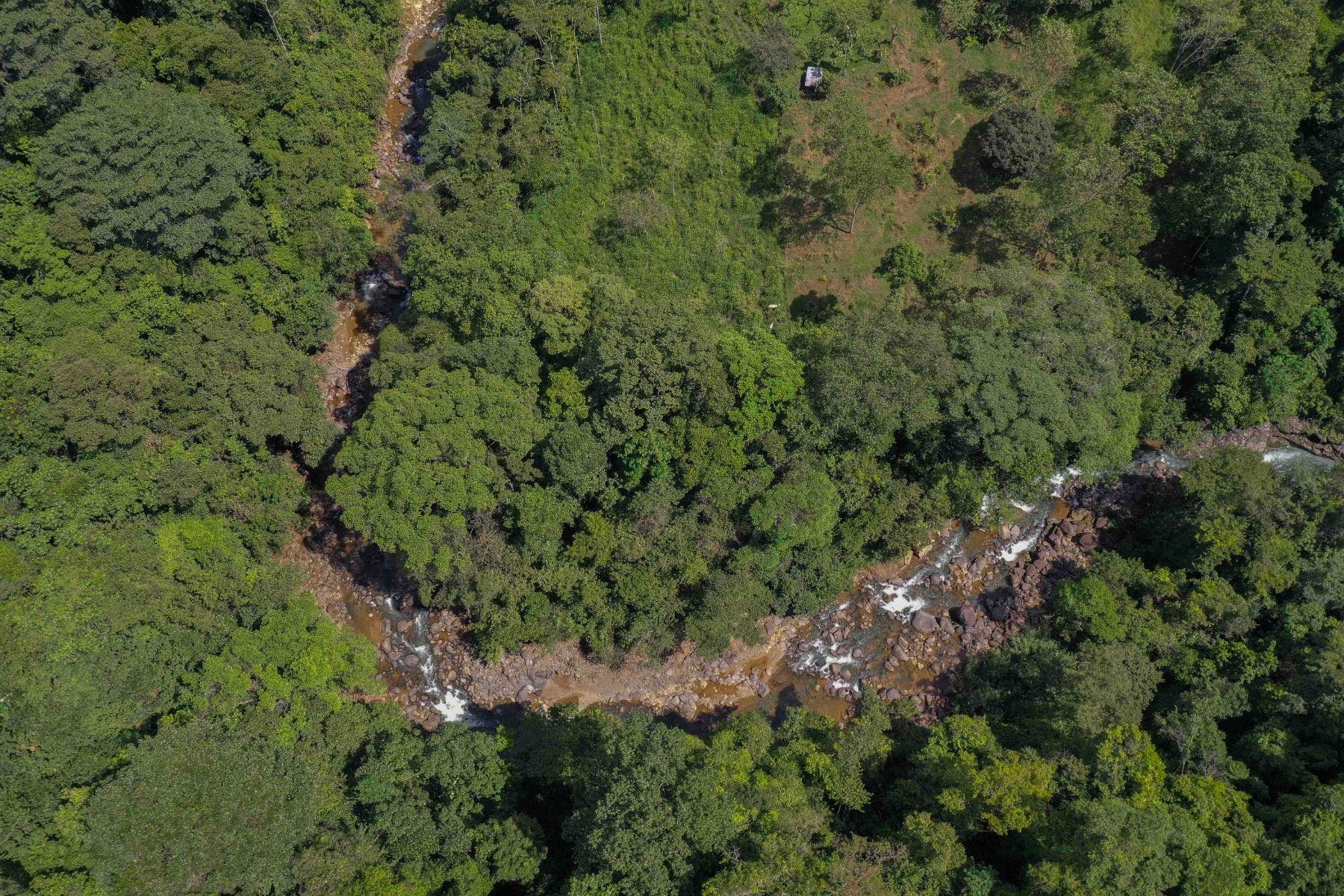 Incredible Whales Tail Lot in San Josecito — photo 10 of 15