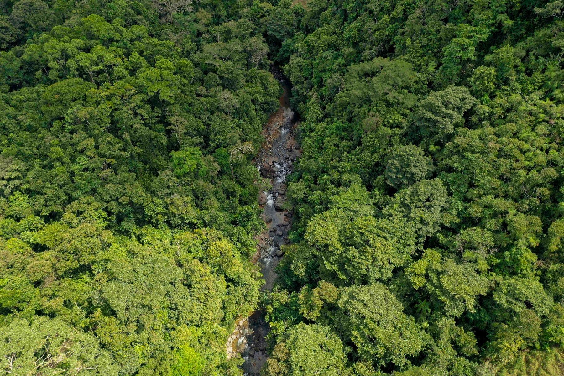 Incredible Whales Tail Lot in San Josecito — photo 12 of 15