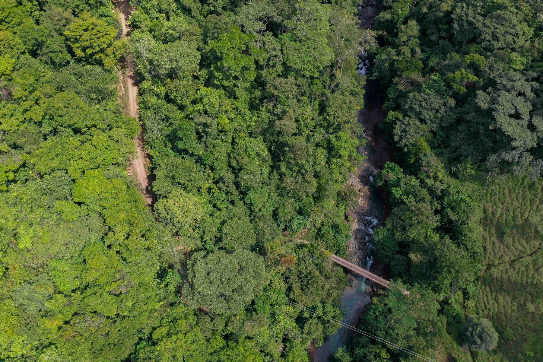 Incredible Whales Tail Lot in San Josecito — photo 13 of 15