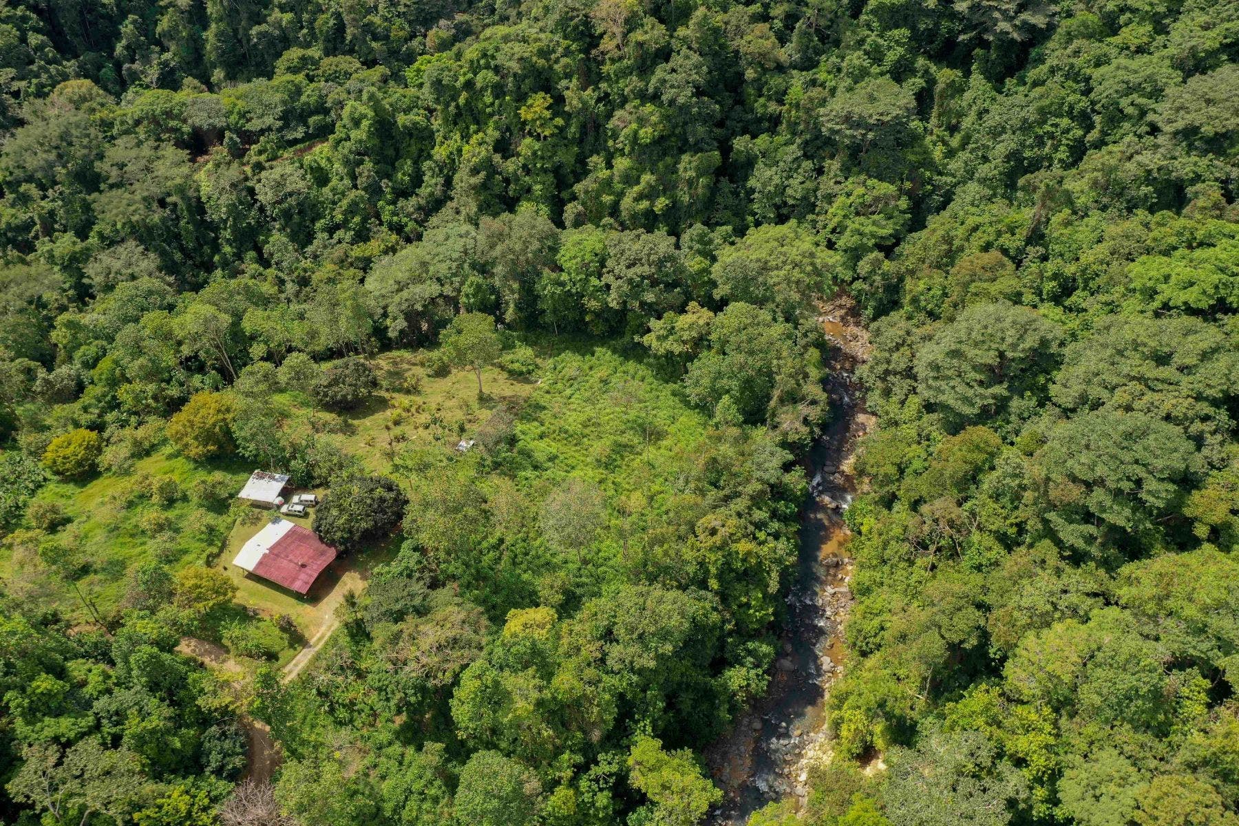 Incredible Whales Tail Lot in San Josecito — photo 14 of 15