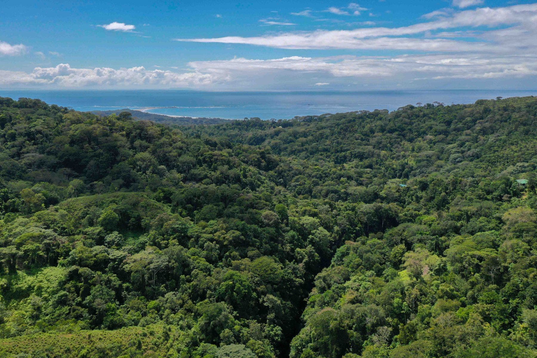 Incredible Whales Tail Lot in San Josecito — photo 15 of 15