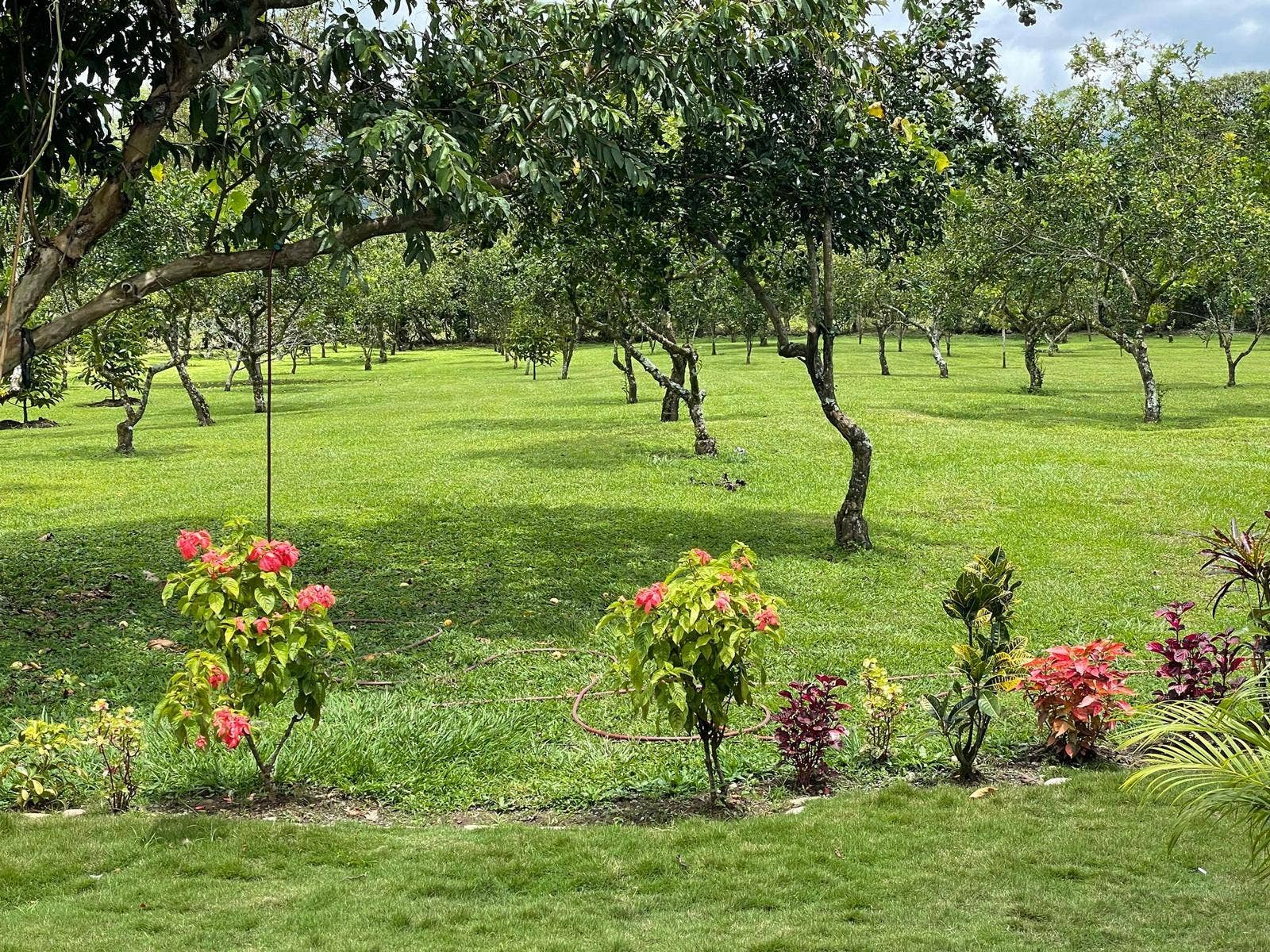 4+ Acre Private Quinta Close to City — photo 11 of 17