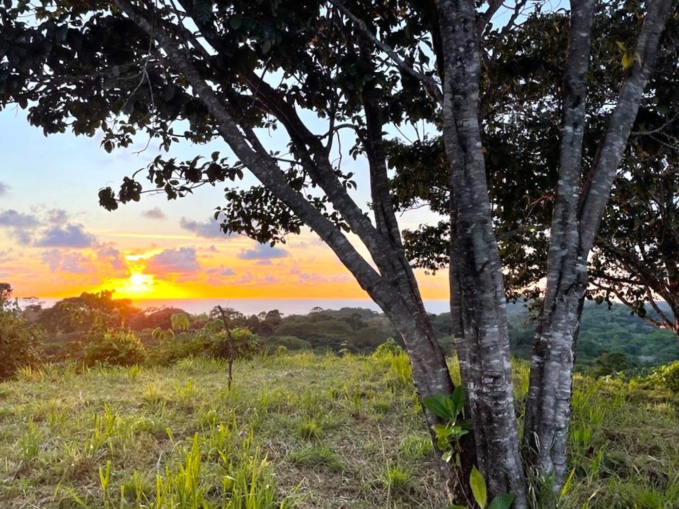 Large Ocean View Lot with Legal Water, Finca Maranon, Ojochal, Puerto Cortés, Puntarenas, Costa Rica 60501