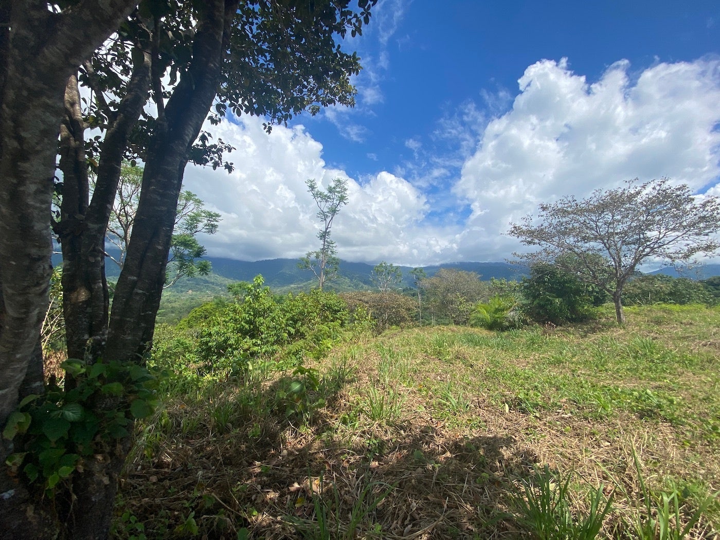 Large Ocean View Lot with Legal Water — photo 2 of 7