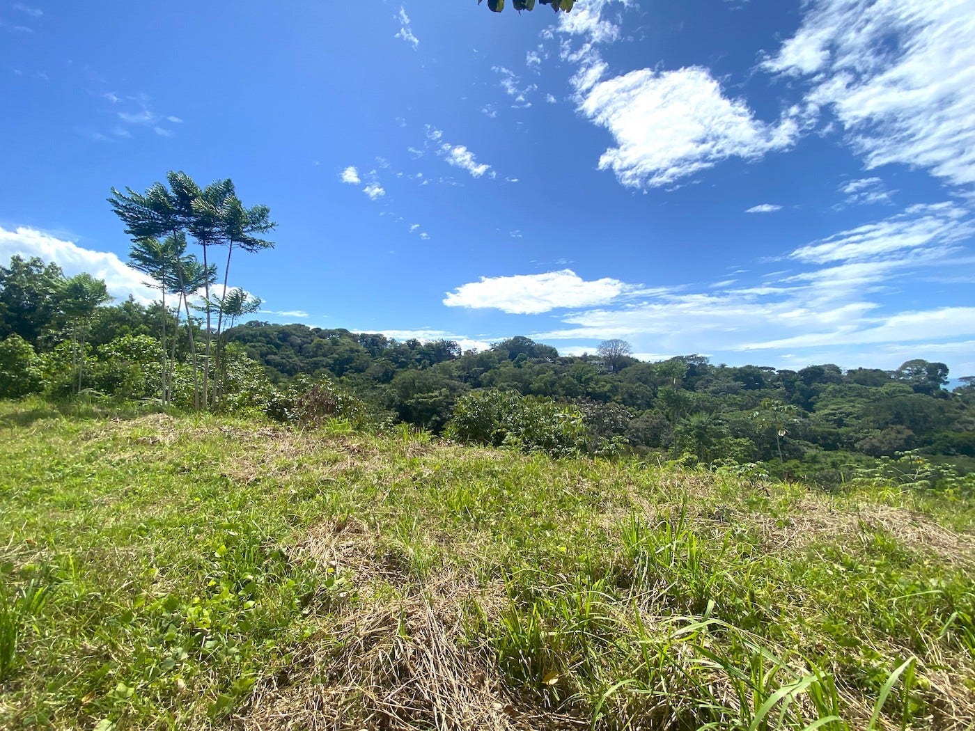 Large Ocean View Lot with Legal Water — photo 6 of 7