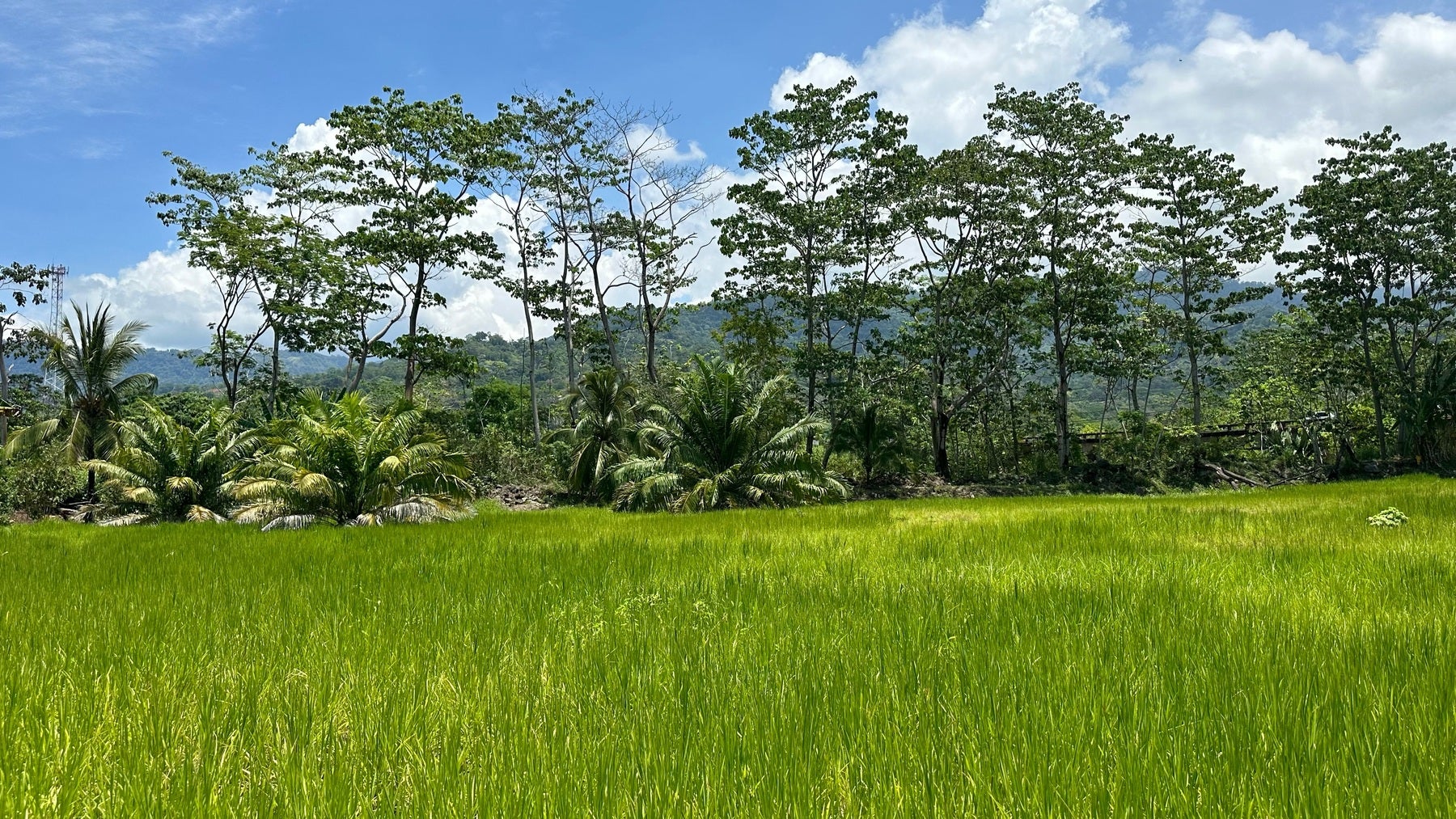 Impressive Commercial Gem in the Heart of Uvita, Uvita, Dominical, Ballena, Osa, Puntarenas, Costa Rica 60504