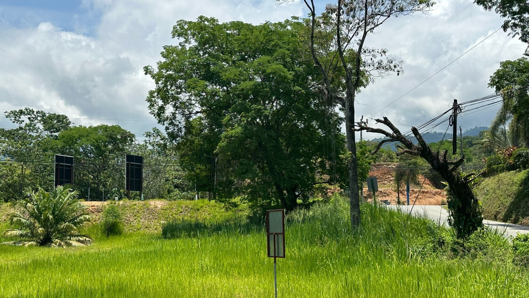 Impressive Commercial Gem in the Heart of Uvita — photo 2 of 5